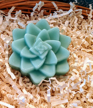 Load image into Gallery viewer, Lush and Succulent Bar Soap